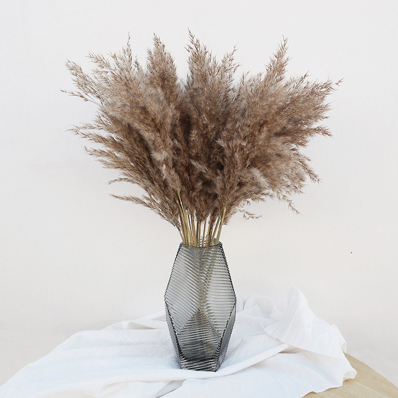 Florist Supply Vases - 10 Peças de Capim-dos-Pampas Colorido Natural