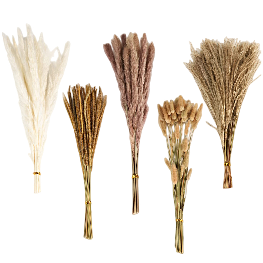 Florist Supply Vases - Buquê de Flores Secas Mistas Vintage